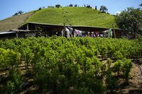 Trump Colombia Drug Cooperation