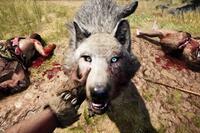 Hunting a wolf in Far Cry: Primal
