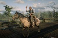 Red Dead Redemption 2 - Things Only Super Fans Know You Can Do