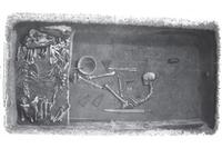 Viking Warrior in Iconic Grave Confirmed to be a Woman