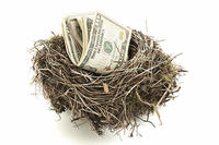 money in nest