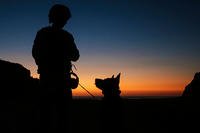 Cpl. Suzette Clemans, a military working dog handler with 1st Law Enforcement Battalion, I Marine Expeditionary Force, and Denny, her Belgian Malinois patrol explosive detection dog. (U.S. Marine Corps/Lance Cpl. Caitlin Bevel)