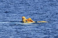 A Cuban migrant raft sinks off the coast of Florida, Dec. 31, 2015. The migrants safely embarked a Coast Guard smallboat and were repatriated to Cuba. (U.S. Coast Guard photo.)