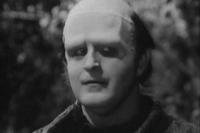 Peter Boyle as Franeknstein's monster