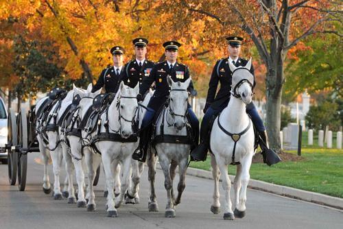 Members of the 3rd U.S. Infantry Regiment riding horses.